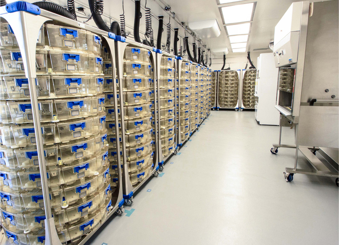 醫(yī)藥工程行業(yè)潔凈場所之SPF動物房IVC系統(tǒng)飼養(yǎng)環(huán)境設(shè)計   CEIDI西遞